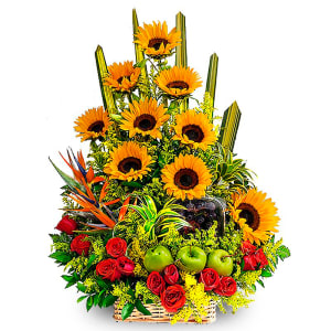 Abc Floristeria Barranquilla